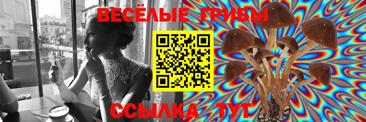 Норильск  Псилоцибиновые грибы прущие грибы  Вход с VPN  купить наркотик  Галлюциногенные грибы мицелий 